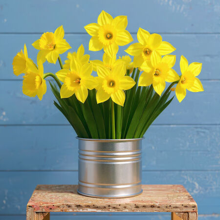 Carlton, Daffodil - 10 Bulbs image number null